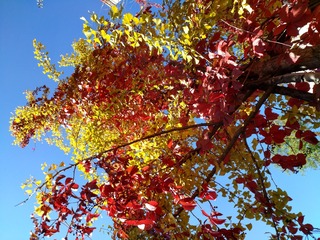 IMG_20181017_122355_HDR