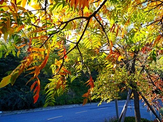 IMG_20181019_191226