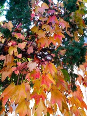 IMG_20181028_140433