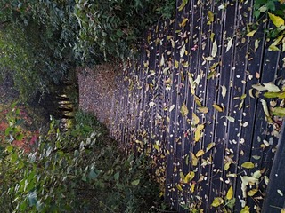 IMG_20181026_063056
