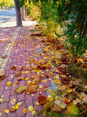 IMG_20181103_175906