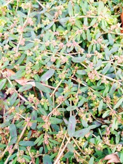 IMG_20181014_130929