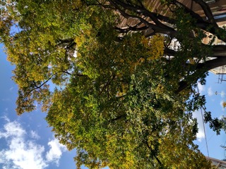 IMG_20181026_104937_HDR