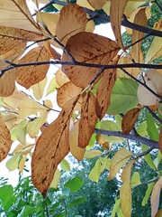 IMG_20181020_153853