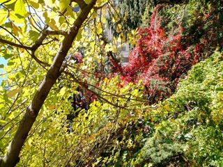 IMG_20181028_130834_HDR