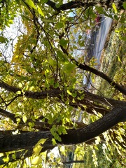 IMG_20181106_081243_HDR