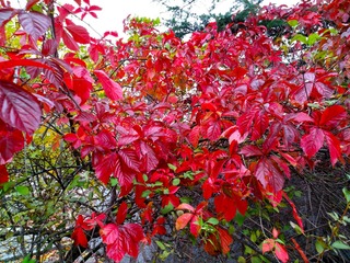 IMG_20181016_135459