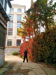 IMG_20181025_183158
