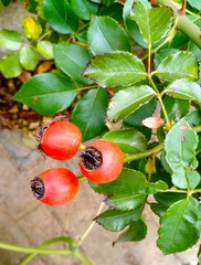 IMG_20181014_131321