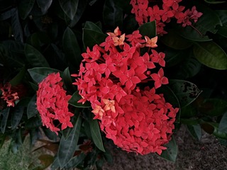 IMG_20181024_073452