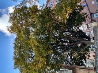 IMG_20181026_151216_HDR