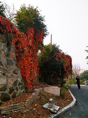 IMG_20181025_131425