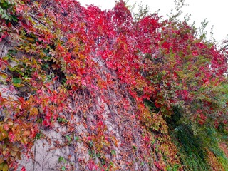 IMG_20181016_135101