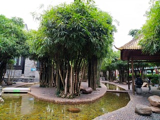 IMG_20181025_075230