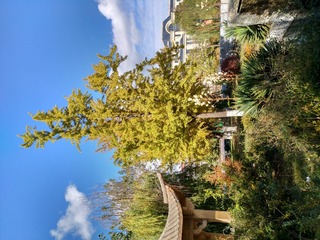 IMG_20181028_133022_HDR