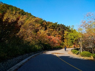 IMG_20181101_153116