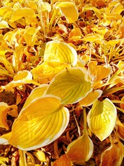 IMG_20181105_151038