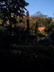 IMG_20181103_114744
