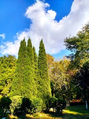 IMG_20181030_141639