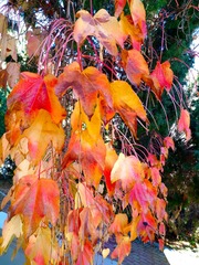 IMG_20181028_140251
