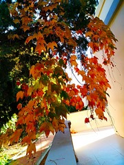 IMG_20181028_091627