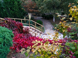 IMG_20181020_162135