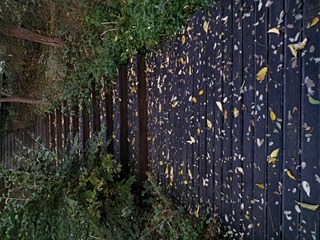 IMG_20181026_063151