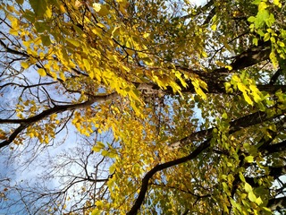 IMG_20181106_081459_HDR