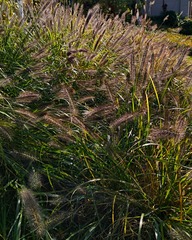 IMG_20181031_185953