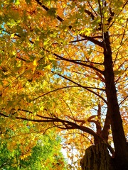 IMG_20181028_140817