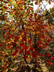 IMG_20181029_120815