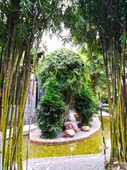 IMG_20181025_075142
