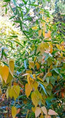 IMG_20181103_205623
