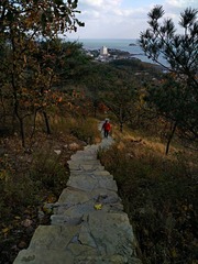 IMG_20181026_204727