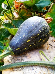 IMG_20181013_171249