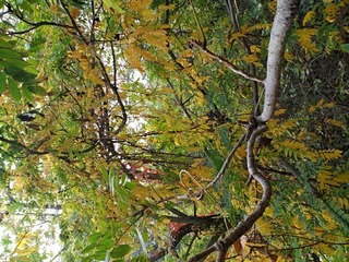 IMG_20181025_102556