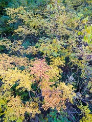 IMG_20181019_190917