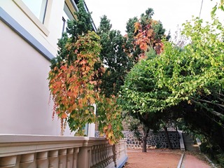 IMG_20181021_055124