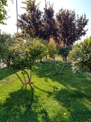 IMG_20181101_121304_HDR