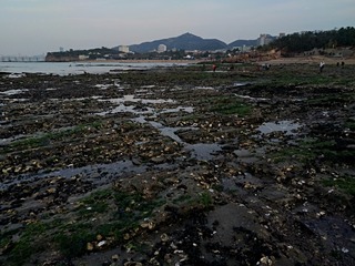 IMG_20181013_063834