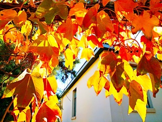 IMG_20181028_091120