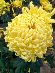 IMG_20181102_143637_HDR
