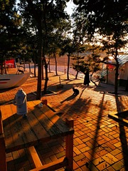 IMG_20181012_184630