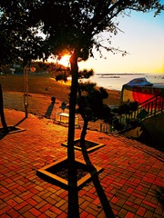 IMG_20181012_184718