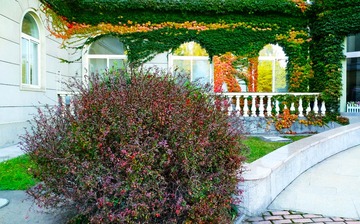 IMG_20181020_082327