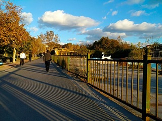 IMG_20181027_071929
