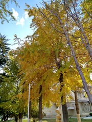 IMG_20181028_132428_HDR