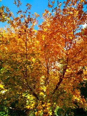 IMG_20181028_140740