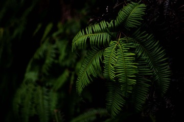 D3CC46AB-7453-40FC-9A27-915606A41095/L0/001