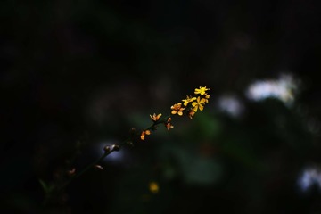 A41F89BB-DB2C-4EE9-AC1F-F8FDE973EF53/L0/001